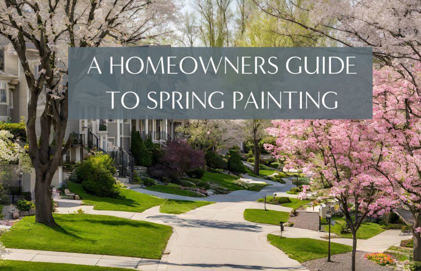 Enhance Your Curb Appeal: A Homeowners Guide To Spring Painting 